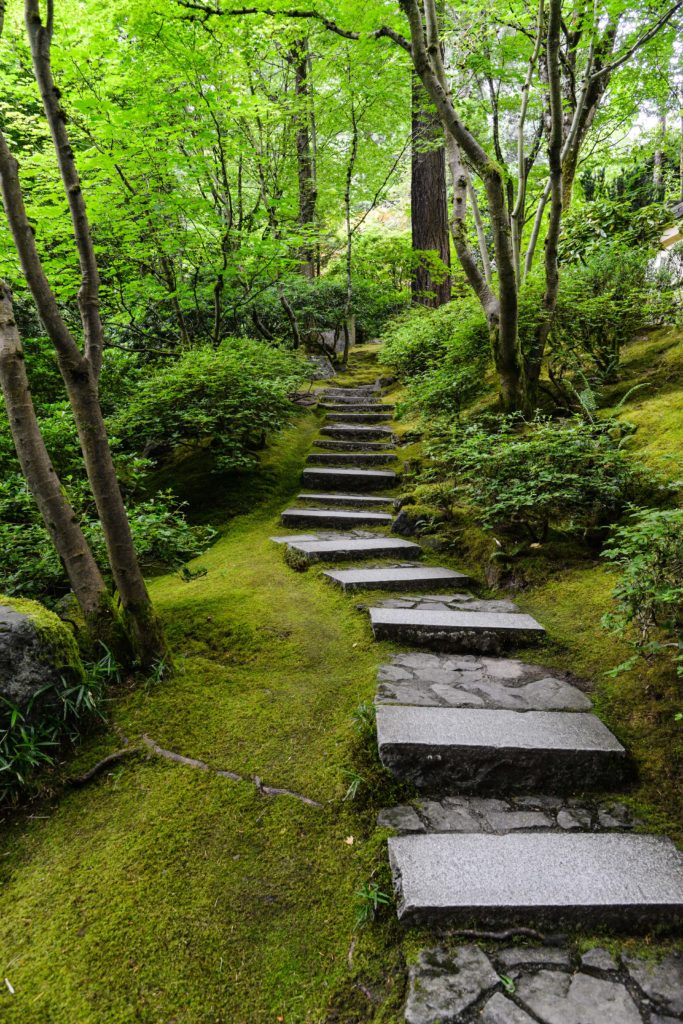 Stone path through forest - School of Inner Health