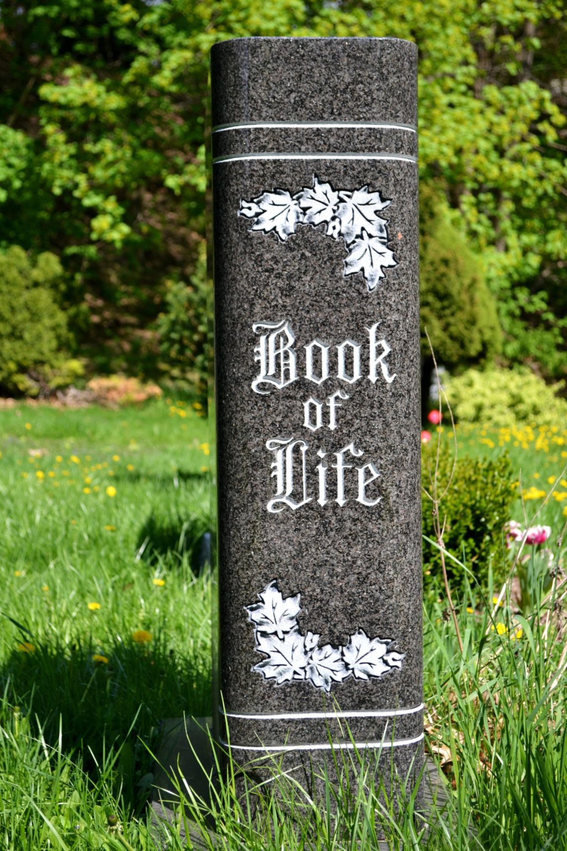 book-of-life-scaled.jpg